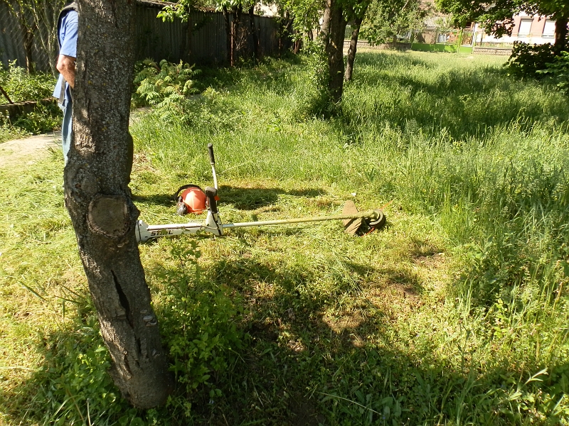 149.jpg