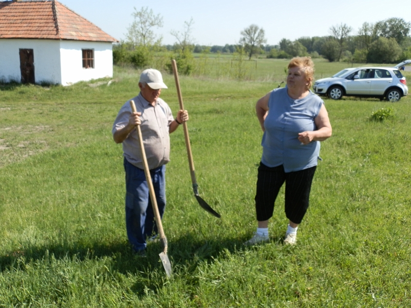 158.jpg