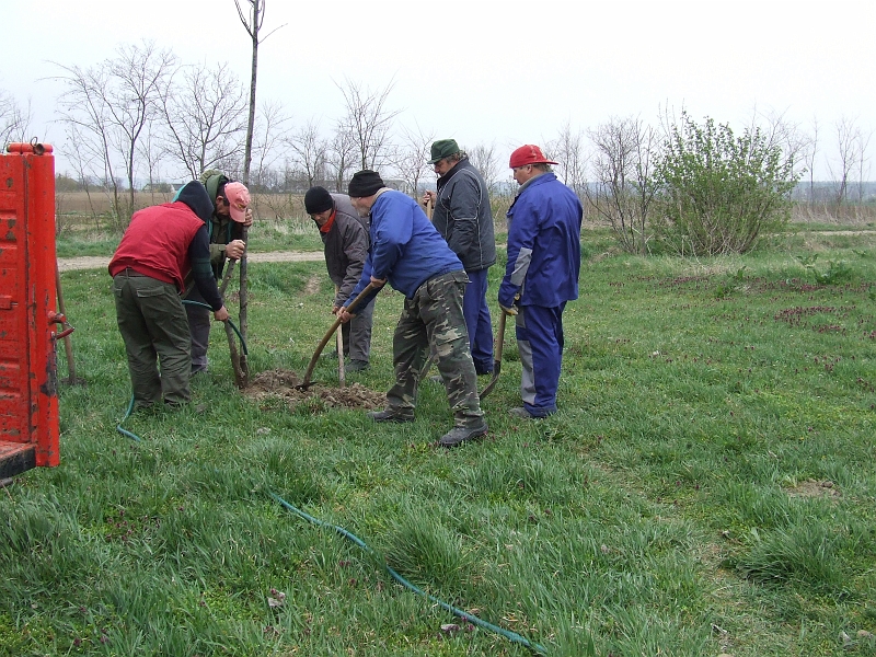 DSCF6366.JPG