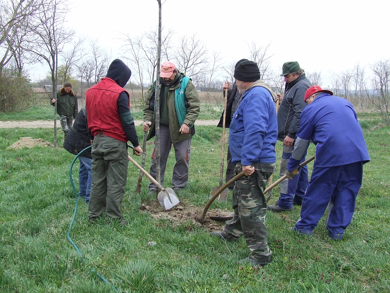 DSCF6367.JPG