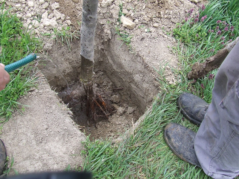 DSCF6373.JPG