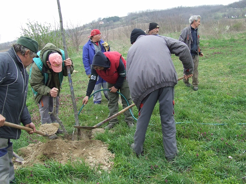 DSCF6376.JPG