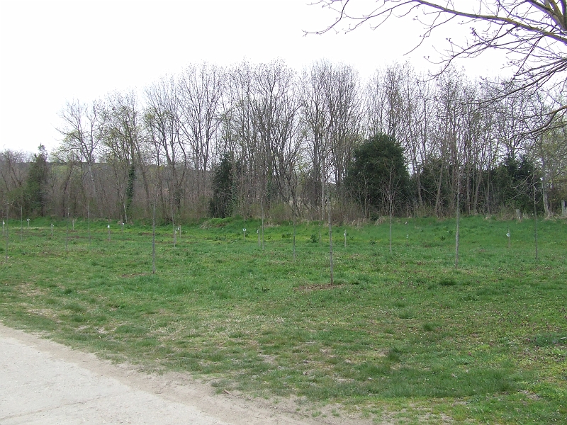 DSCF6378.JPG