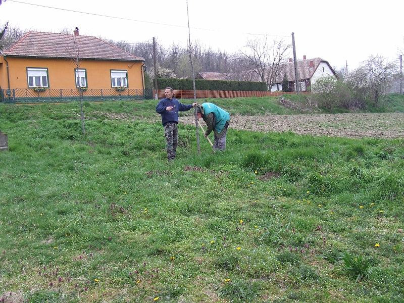DSCF6381.JPG