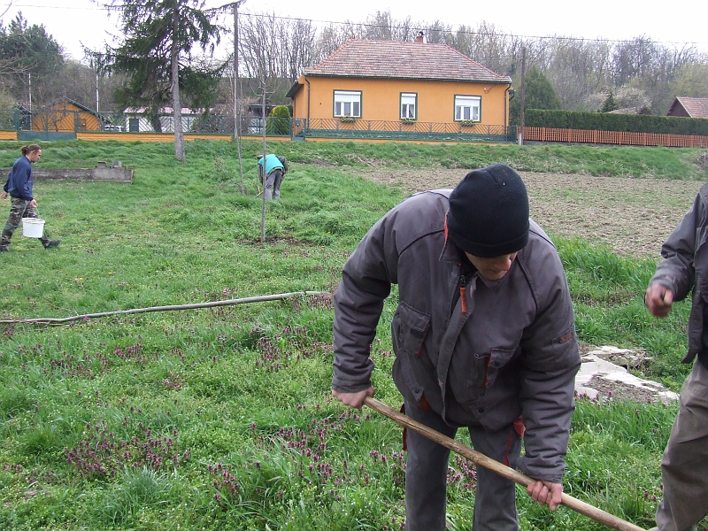 DSCF6385.JPG