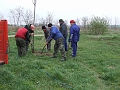 DSCF6366