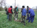 DSCF6367