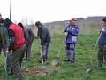 DSCF6368
