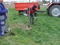 DSCF6372