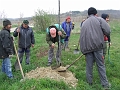 DSCF6375