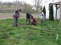 DSCF6382