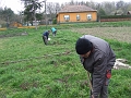 DSCF6386