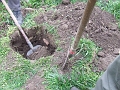 DSCF6387
