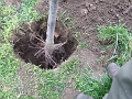 DSCF6388