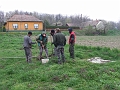 DSCF6391