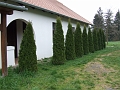 DSCF6392