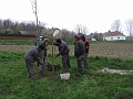 DSCF6393