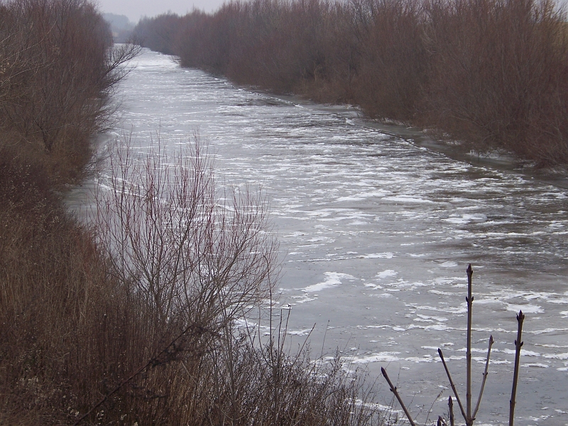 100_2394.jpg