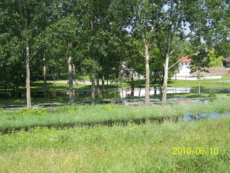 100_7727.jpg