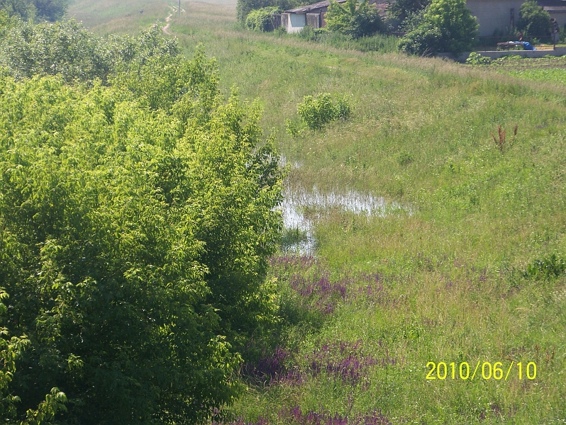 100_7729.jpg