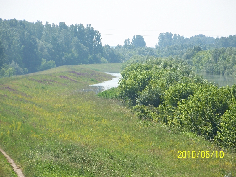 100_7731.jpg