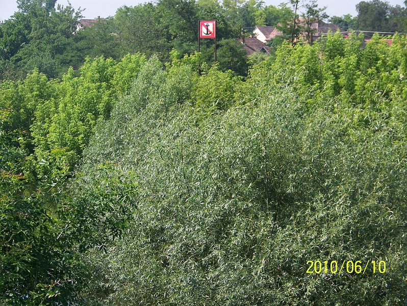 100_7737.jpg