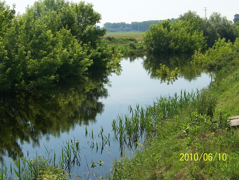 100_7795.jpg