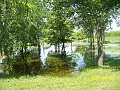 100_7803