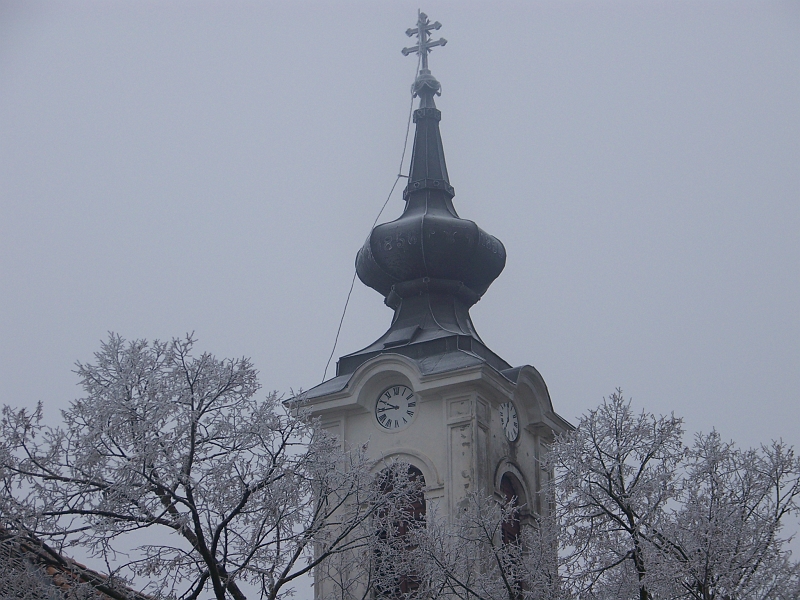 100_0894.jpg