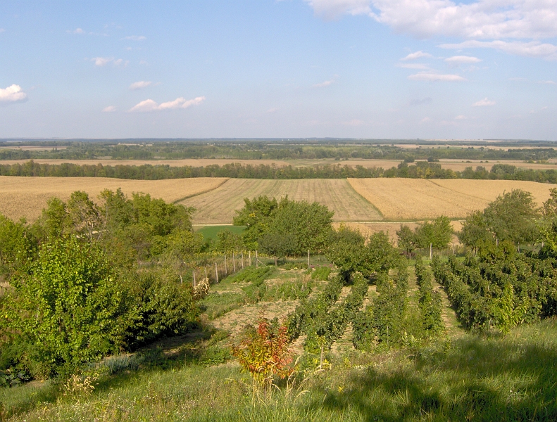 116.JPG