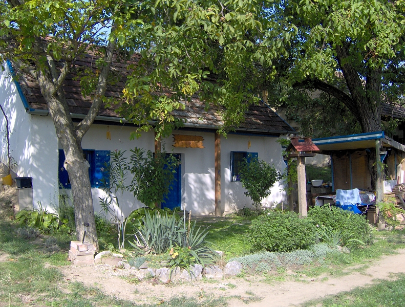 123.JPG