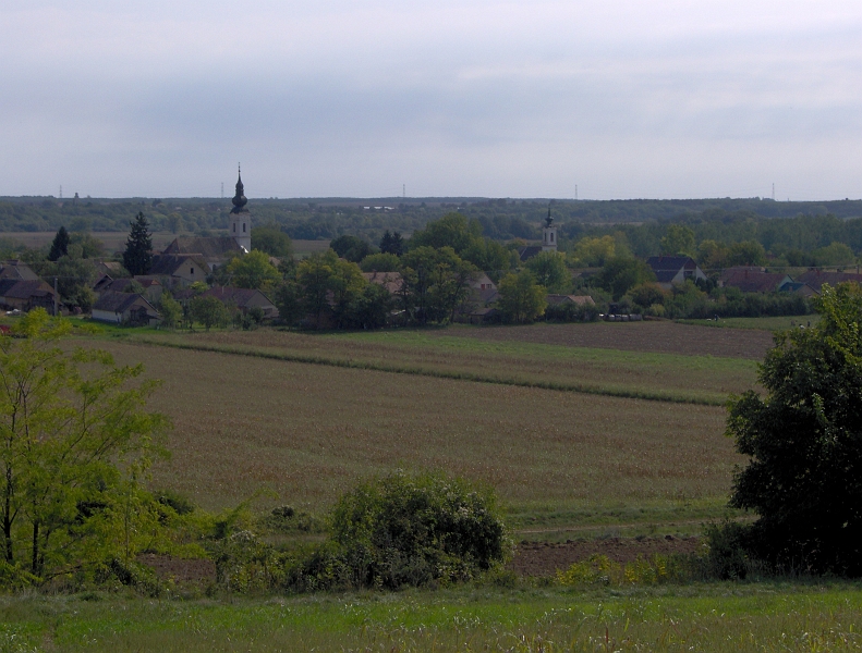 127.JPG