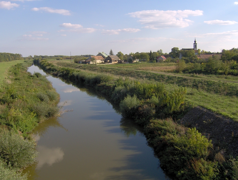 146.jpg