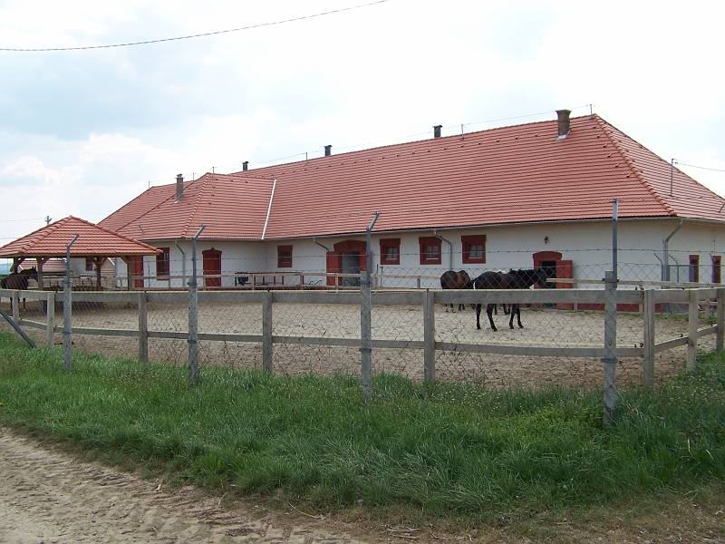 166.jpg