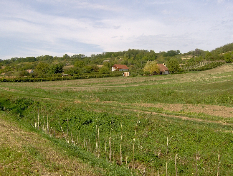 176.jpg