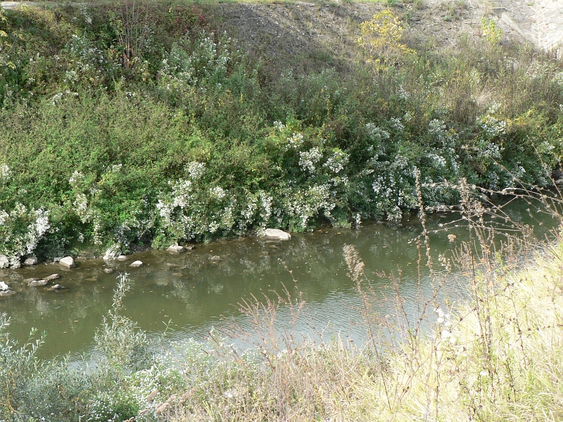 191.jpg