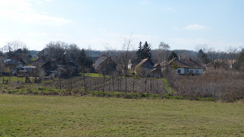 P1060274.JPG
