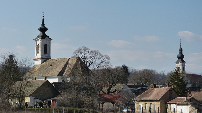 P1060275.JPG