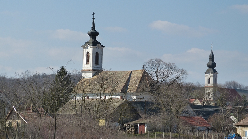 P1060283.JPG