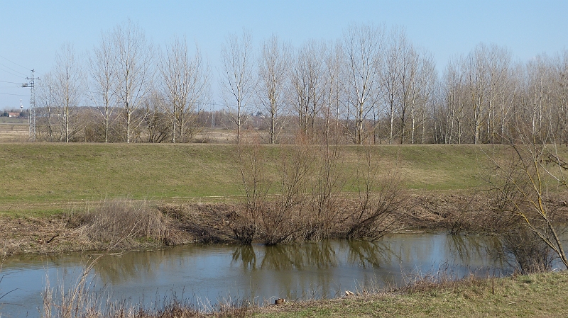 P1060284.JPG