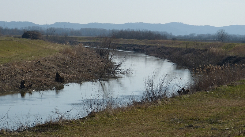 P1060322.JPG