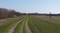 P1060288