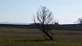P1060292