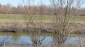 P1060313
