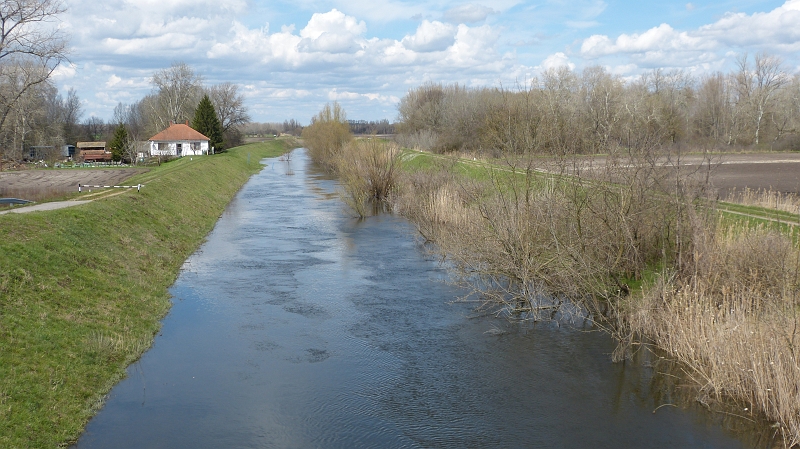 P1070326.JPG
