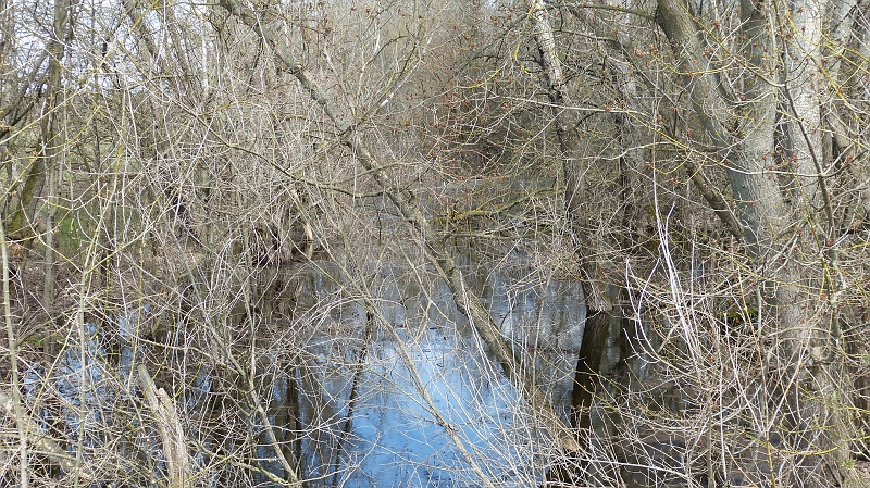 P1070333.JPG