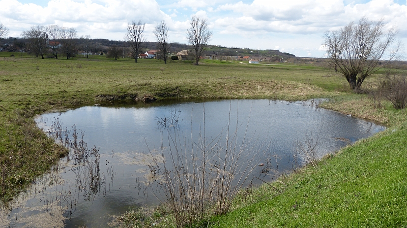 P1070334.JPG