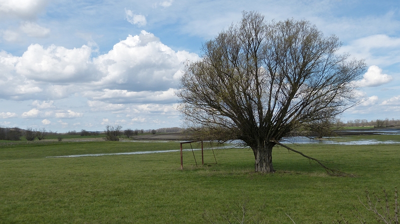 P1070348.JPG