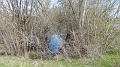 P1070332