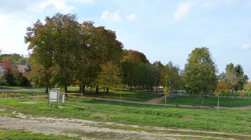 P1140519.JPG